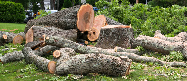 Best Aeration Services  in Tatum, TX